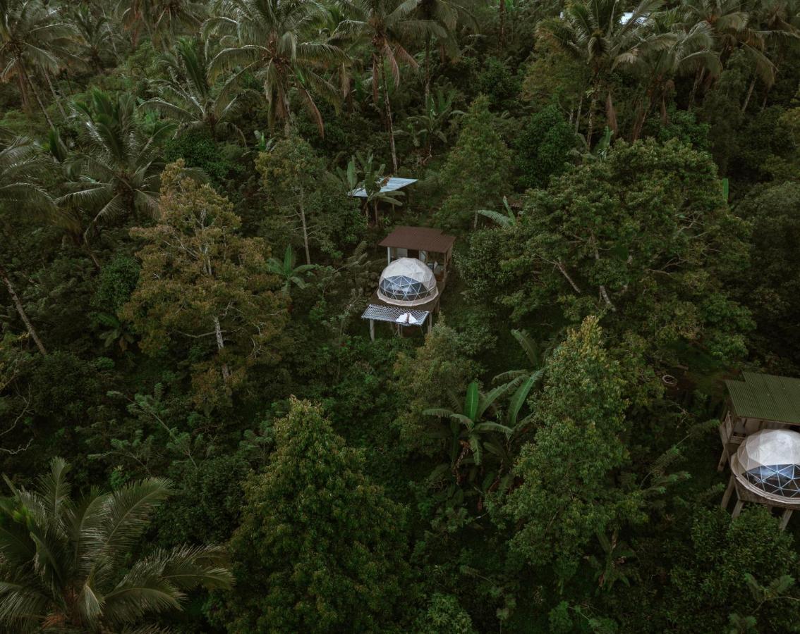 Bali Jungle Camping By Amerta Experience Selemadeg 외부 사진