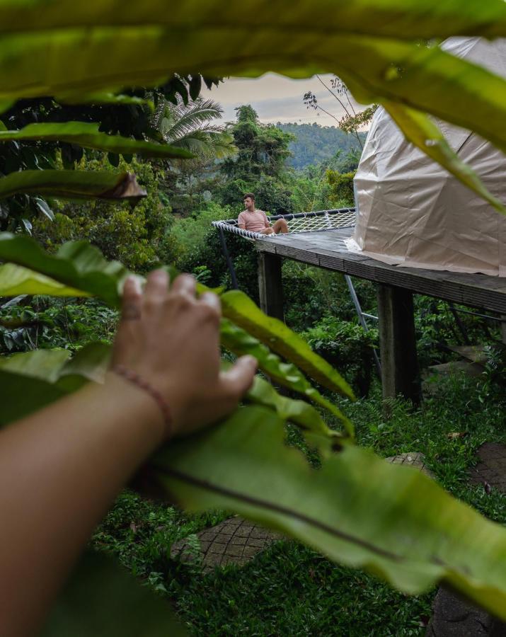 Bali Jungle Camping By Amerta Experience Selemadeg 외부 사진