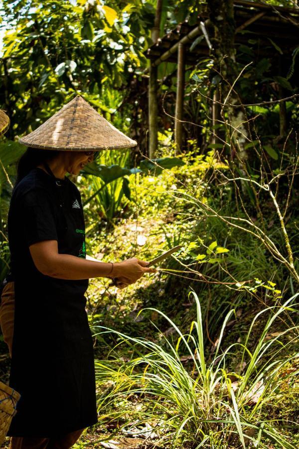 Bali Jungle Camping By Amerta Experience Selemadeg 외부 사진
