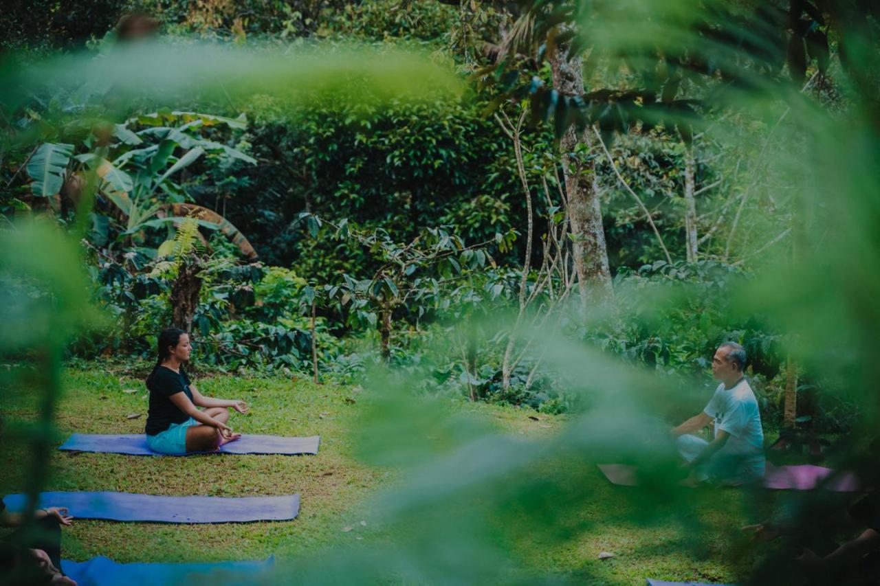Bali Jungle Camping By Amerta Experience Selemadeg 외부 사진