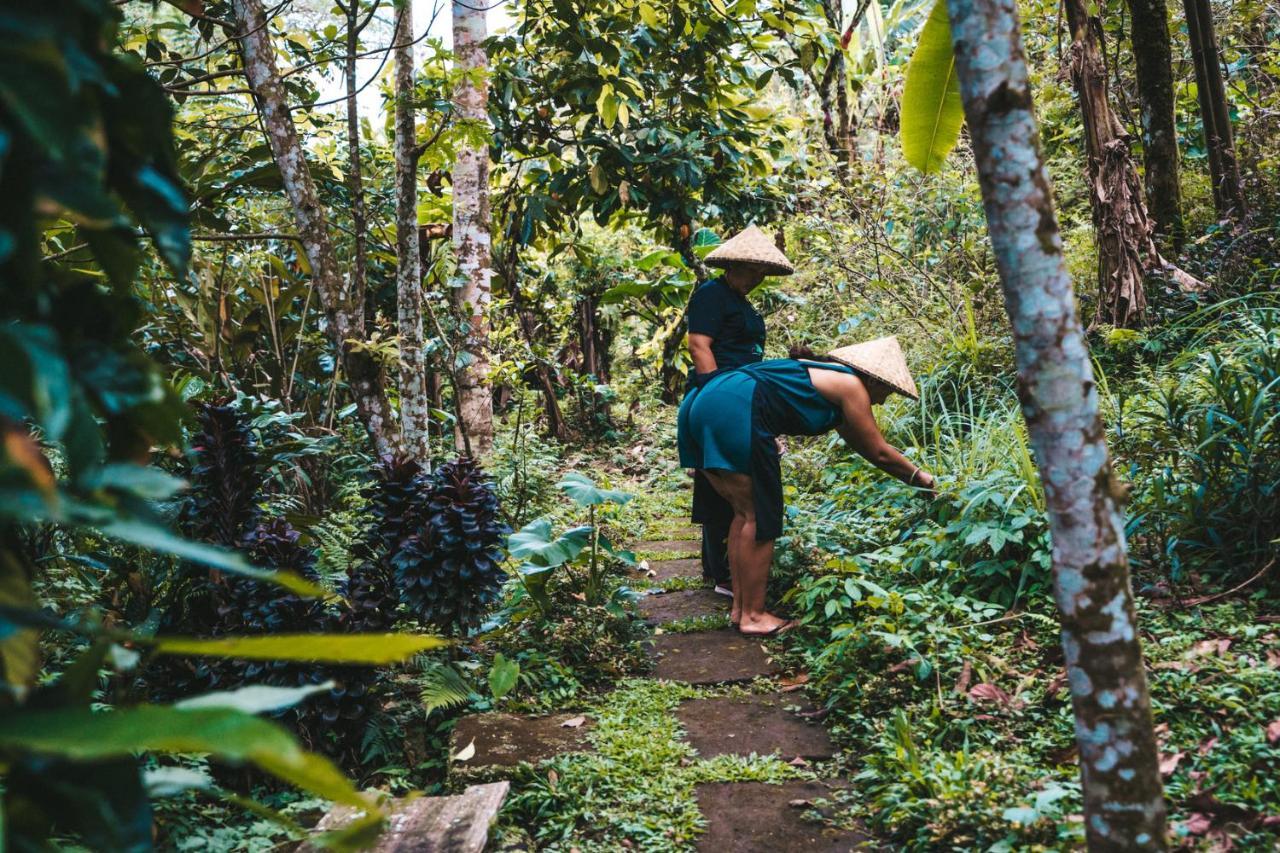 Bali Jungle Camping By Amerta Experience Selemadeg 외부 사진