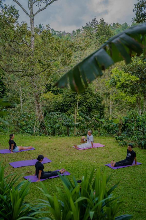 Bali Jungle Camping By Amerta Experience Selemadeg 외부 사진