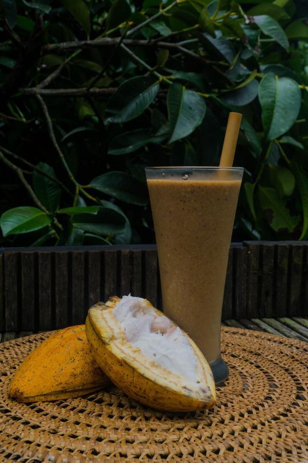 Bali Jungle Camping By Amerta Experience Selemadeg 외부 사진