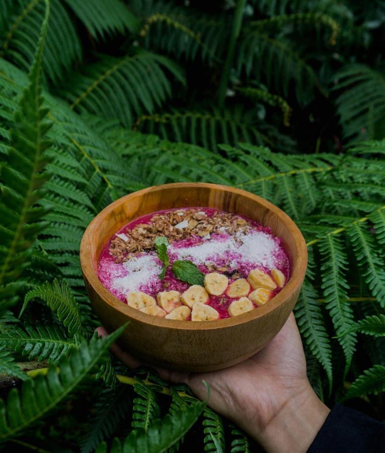 Bali Jungle Camping By Amerta Experience Selemadeg 외부 사진